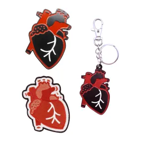 Anatomical Heart Bundle